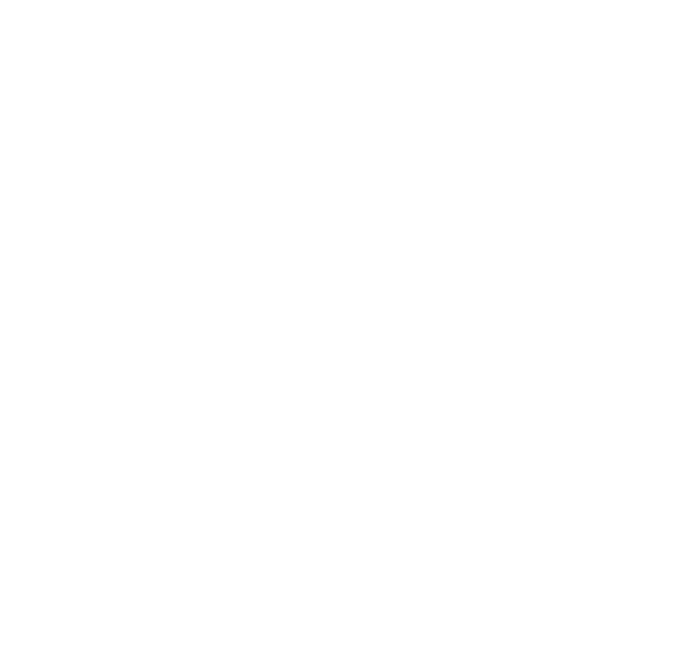 Performance icon